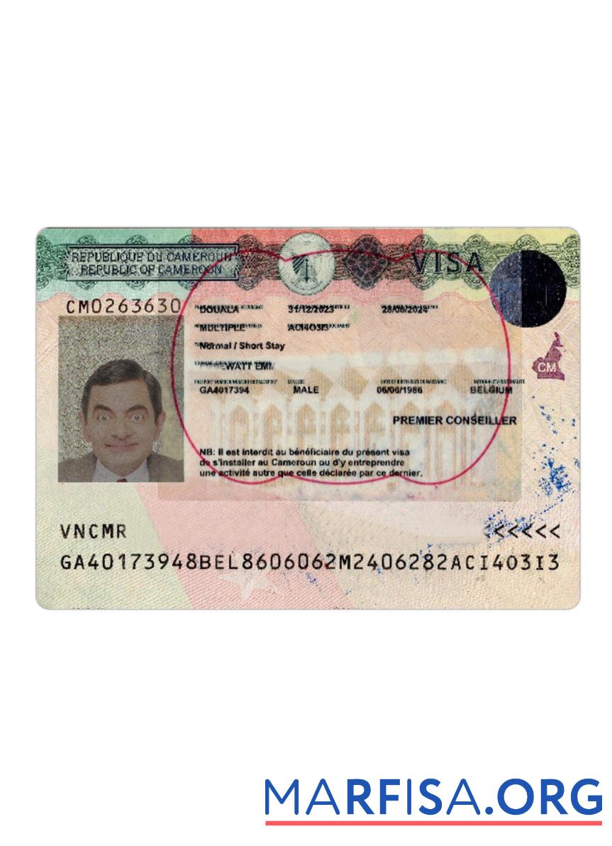 Downloadable Cameroon travel visa version 2 template